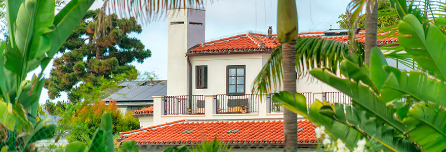 A large Beverly Hills estate sits partially obscured through a wall of palm trees